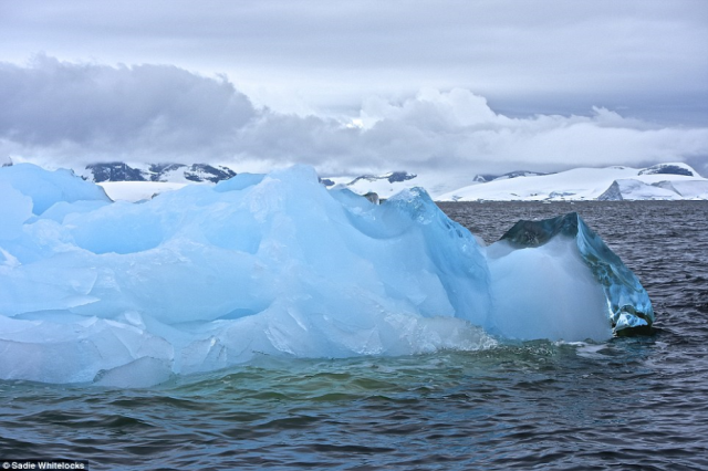 Antarctica is made up of skyscraper icebergs rolling into the horizon 2016 b