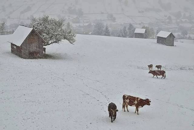 Bucovina -Suceava, Romania 10 2015