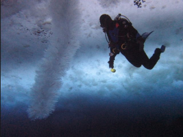 dytis in Brinicle view antartica 15.