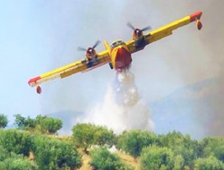 ΔΕΔΔΗΕ: Διαψεύδει ότι η φωτιά στη Χίο προκλήθηκε από καλώδιο της ΔΕΗ