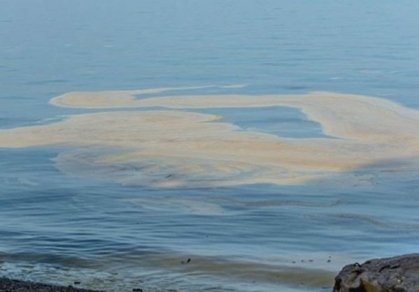 Πάτρα: Έρευνα για την κίτρινη ουσία στον Πατραϊκό κόλπο