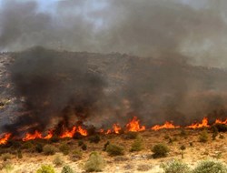 Ο απολογισμός των πυρκαγιών για το 2015...