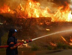 Υπό μερικό έλεγχο η πυρκαγιά στο Παλαιοχώρι Αττικής