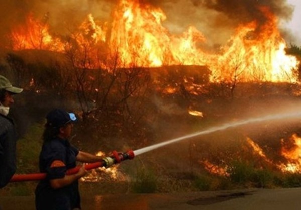 Υπό μερικό έλεγχο η πυρκαγιά στο Παλαιοχώρι Αττικής