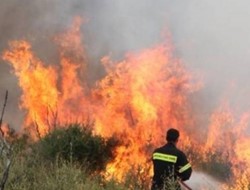 Πάτρα: Μεγάλη φωτιά στο Δρέπανο