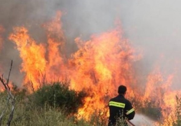 Πάτρα: Μεγάλη φωτιά στο Δρέπανο