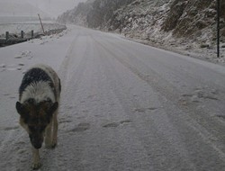 Τα πρώτα χιόνια στα ορεινά του Πηλίου