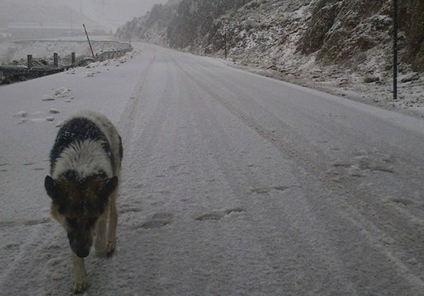 Τα πρώτα χιόνια στα ορεινά του Πηλίου