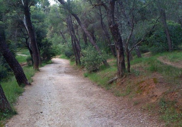 Εκπαιδευτικά και περιβαλλοντικά προγράμματα στο Άλσος Συγγρού