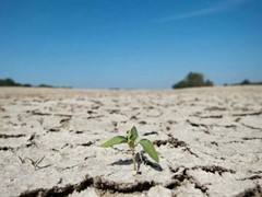 Οι ακραίες ξηρασίες θα διπλασιαστούν τα καλοκαίρια