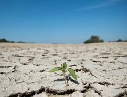 Οι ακραίες ξηρασίες θα διπλασιαστούν τα καλοκαίρια