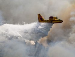 Φωτιά σε δασική έκταση στο Μαρτίνο Φθιώτιδας