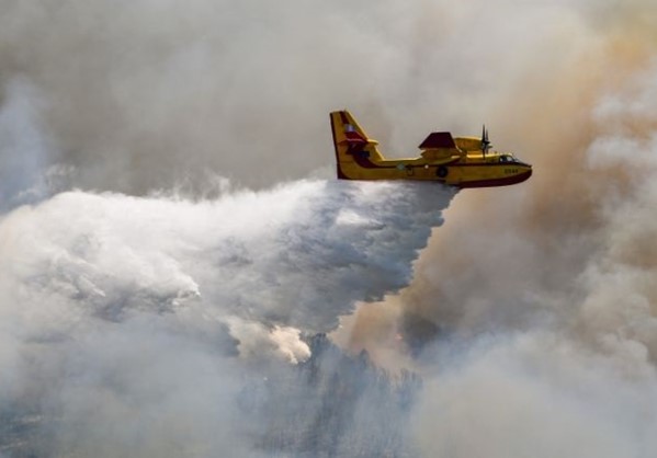 Φωτιά σε δασική έκταση στο Μαρτίνο Φθιώτιδας