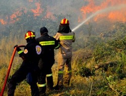 Σε εξέλιξη πυρκαγιά στον Δοκό Εύβοιας