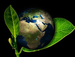 Τα φυτά που πεινούν για άνθρακα και σώζουν τον πλανήτη