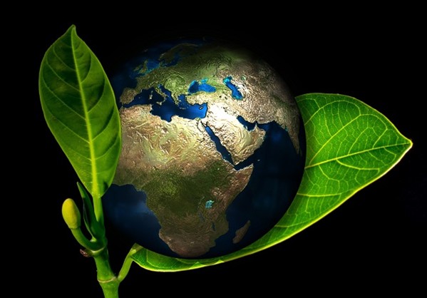 Τα φυτά που πεινούν για άνθρακα και σώζουν τον πλανήτη