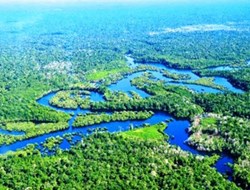 Αμαζόνιος: Κλιματική αλλαγή και κονκισταδόρες δημιούργησαν το τροπικό δάσος