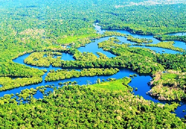Αμαζόνιος: Πιο «εύφλεκτο» το δάσος του, λόγω ανθρώπινης δραστηριότητας