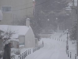 Πολλά τα προβλήματα από τον χιονιά