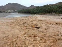 Βρέχει καταρρακτωδώς στην Έρημο  (Βίντεο)