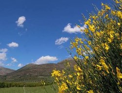 Βελτιώνεται και... ζεσταίνει ο καιρός