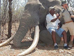 Κυνηγός σκότωσε τον πιο ηλικιωμένο ελέφαντα της Αφρικής