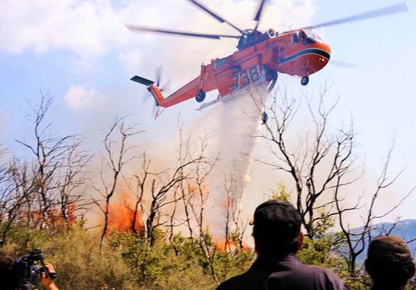 Σχεδόν ολοκληρωτική η καταστροφή, των μαστιχόδεντρων στη Χίο