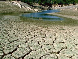 Η έλλειψη νερού απειλεί την πανίδα της Παραγουάης