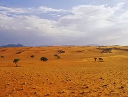 Κίνδυνος για την ανθρωπότητα η εξάπλωση των ερήμων