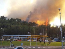 Καταστροφικές πυρκαγιές μαίνονται στο Ισραήλ