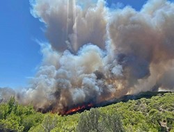 Μεγάλη φωτιά στο Λαύριο σε δασική έκταση