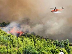 Τεράστια η οικολογική καταστροφή για τη βόρεια Εύβοια