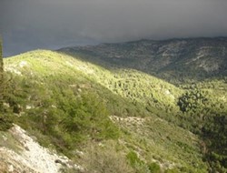 Αγώνας δρόμου για τον Υμηττό