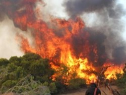 Ανεξέλεγκτο μαίνεται πύρινο μέτωπο στην Ιεράπετρα