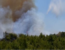 Φωτιά στο Ν. Ηλείας απειλεί χωριά της Αρχαίας Ολυμπίας