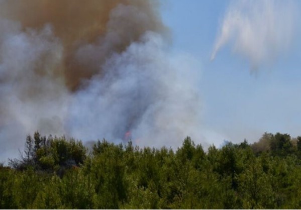 Φωτιά στο Ν. Ηλείας απειλεί χωριά της Αρχαίας Ολυμπίας