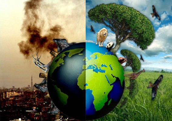 Η κλιματική αλλαγή θα «εξαφανίσει» 1 στα 6 είδη του πλανήτη