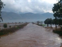 Τελικώς... μανία της φύσης ή αμέλεια;