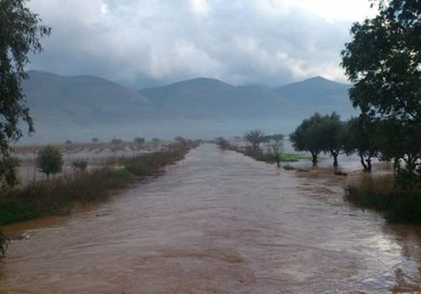 Τελικώς... μανία της φύσης ή αμέλεια;