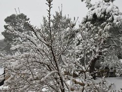 Επιδείνωση του καιρού προς το βράδυ του Σαββάτου