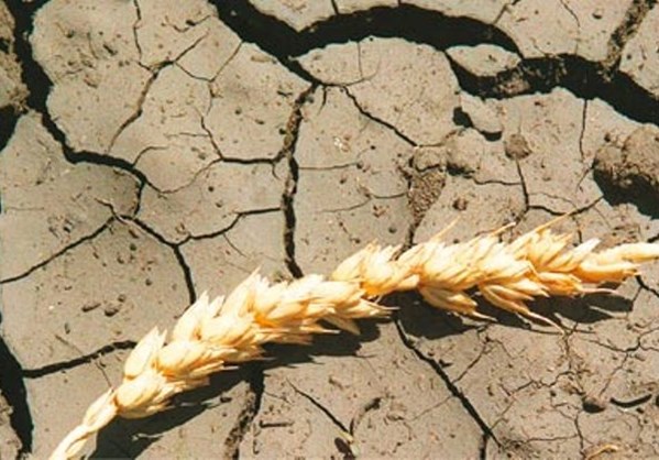 Οι μεγάλες ξηρασίες του μέλλοντος θα διαρκούν δεκαετίες