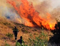 Υπό μερικό έλεγχο η φωτιά στη Χίο