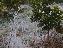 Δεκέμβριος: Ποδαρικό με... παγετό!