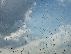 Πώς η βροχή βοηθά τα μικρόβια να να «ταξιδεύουν»