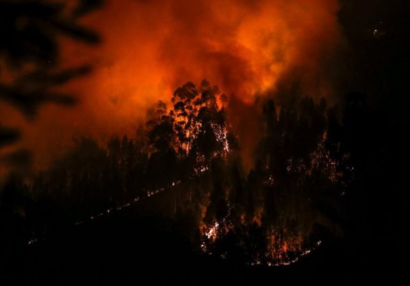Πορτογαλία: Στους 41 οι νεκροί από τις φονικές πυρκαγιές