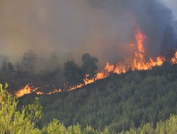 Προσοχή: Αυξημένος κίνδυνος πυρκαγιάς!