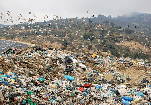 Πετάμε στα σκουπίδια περίπου 88 εκατ. τόνους τροφίμων ετησίως