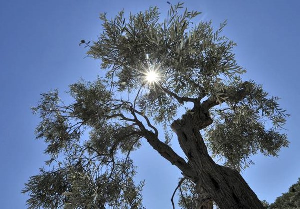 Ο καιρός τη Μ.Παρασκευή και το Μ. Σάββατο