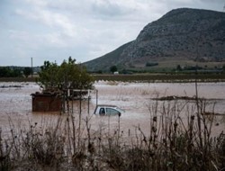 Ο Ανύπαρκτος κ. Χαρδαλιάς!