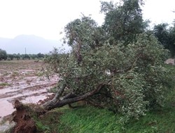 Η αρχή μιας βροχερής περιόδου